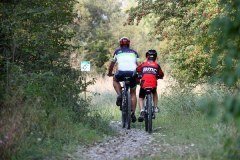 thumbs_a5483ed9-f4ee-48f4-9978-f9fbbed16515